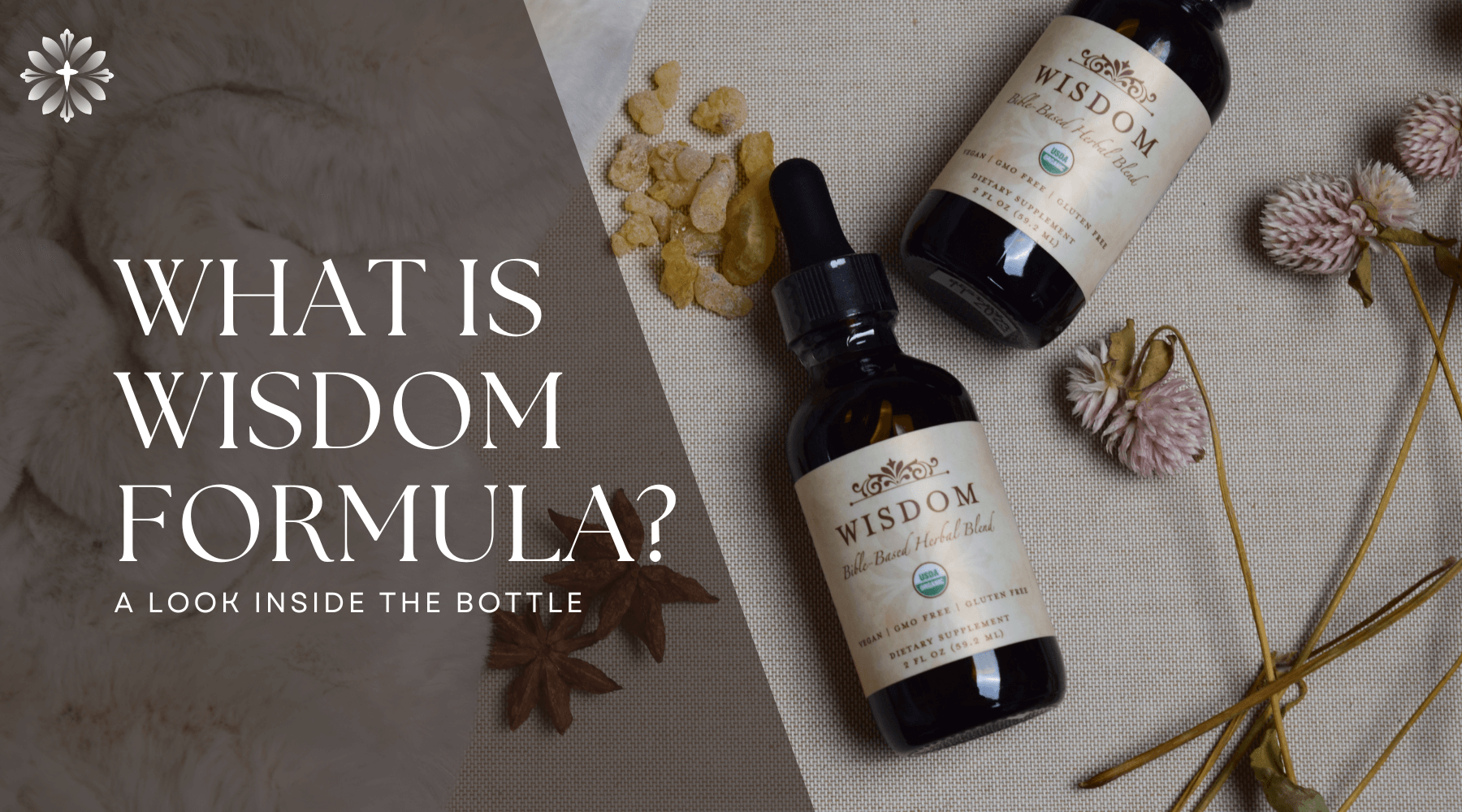 What Is Wisdom Formula? A Look Inside the Bottle