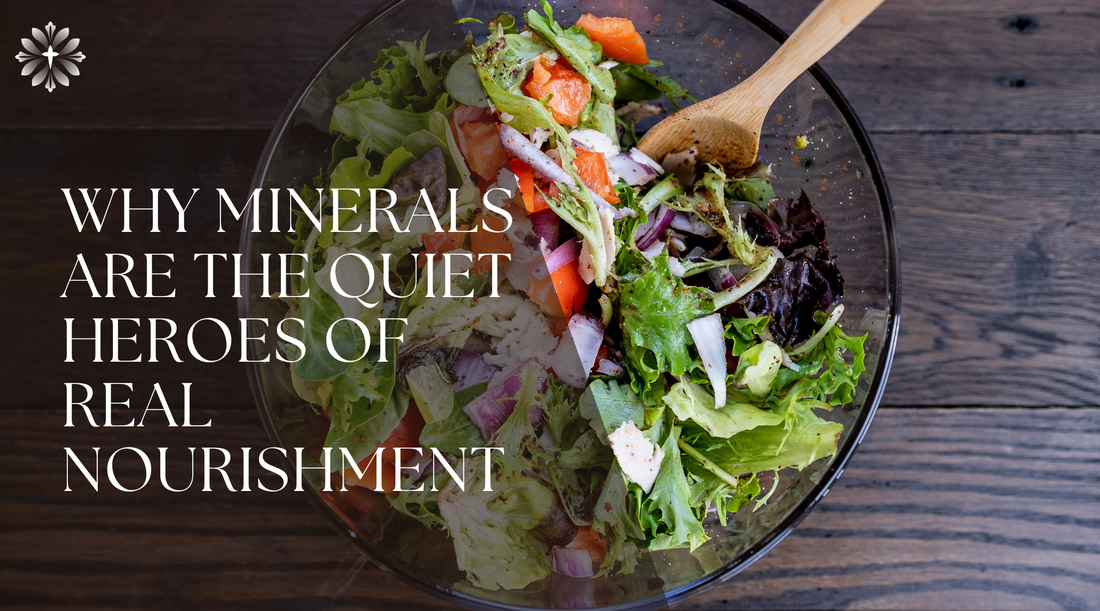 Why Minerals Are the Quiet Heroes of Real Nourishment