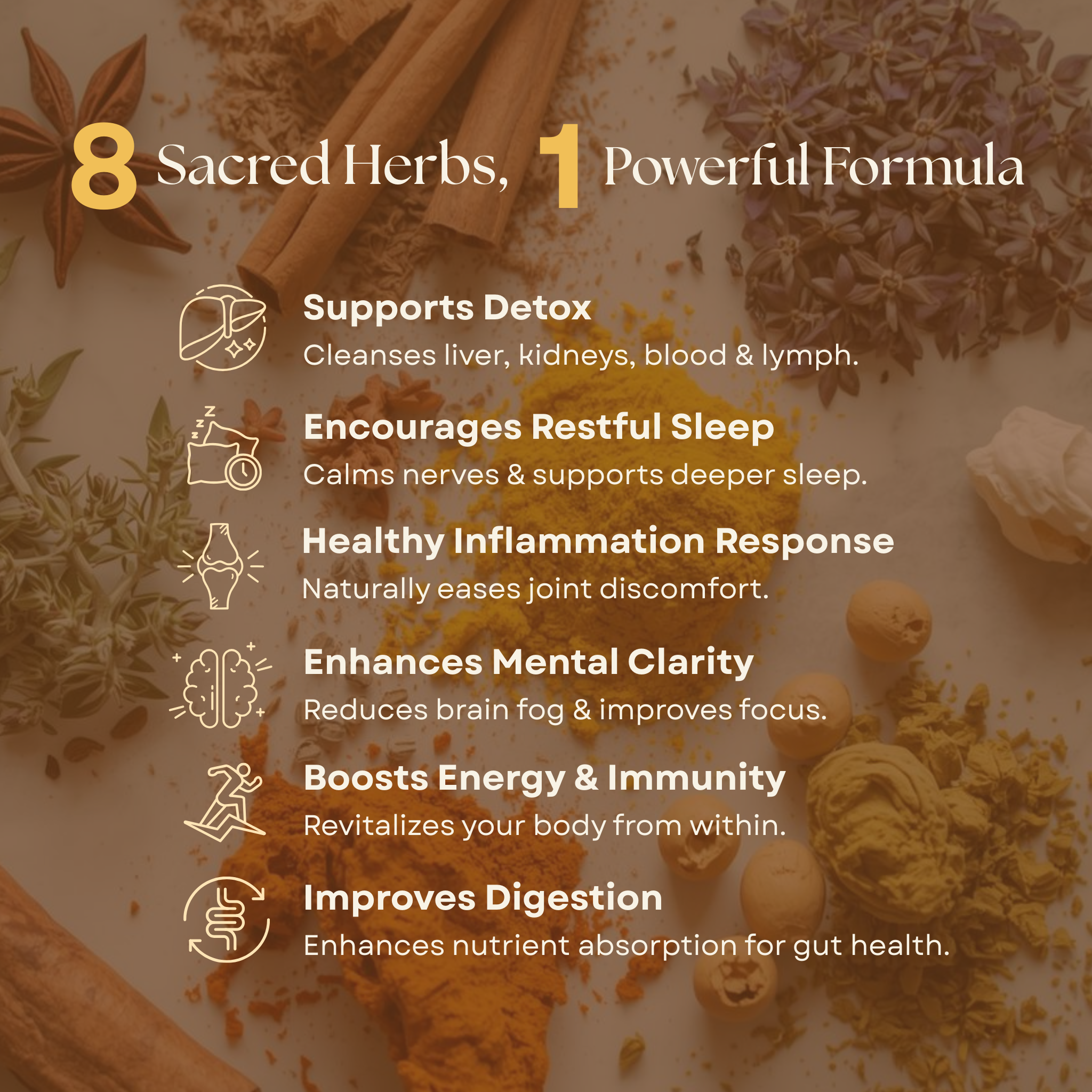 Wisdom Formula — Adaptogenic Herbal Blend for Balance & Resilience