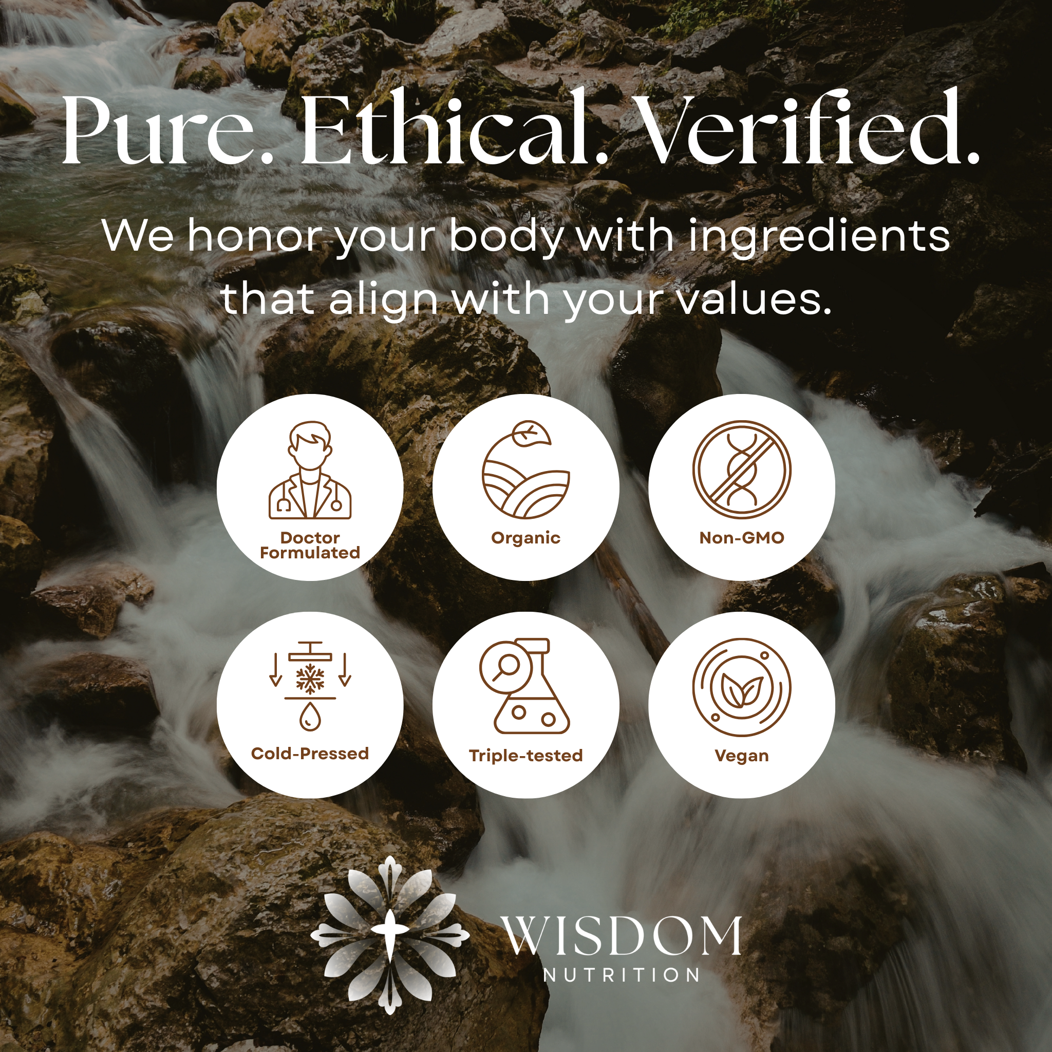Wisdom Formula — Adaptogenic Herbal Blend for Balance & Resilience