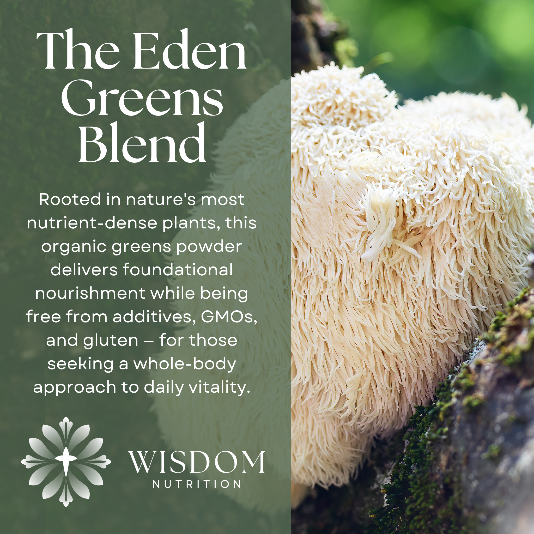 Eden Greens — Daily Super Greens + Mushroom Blend
