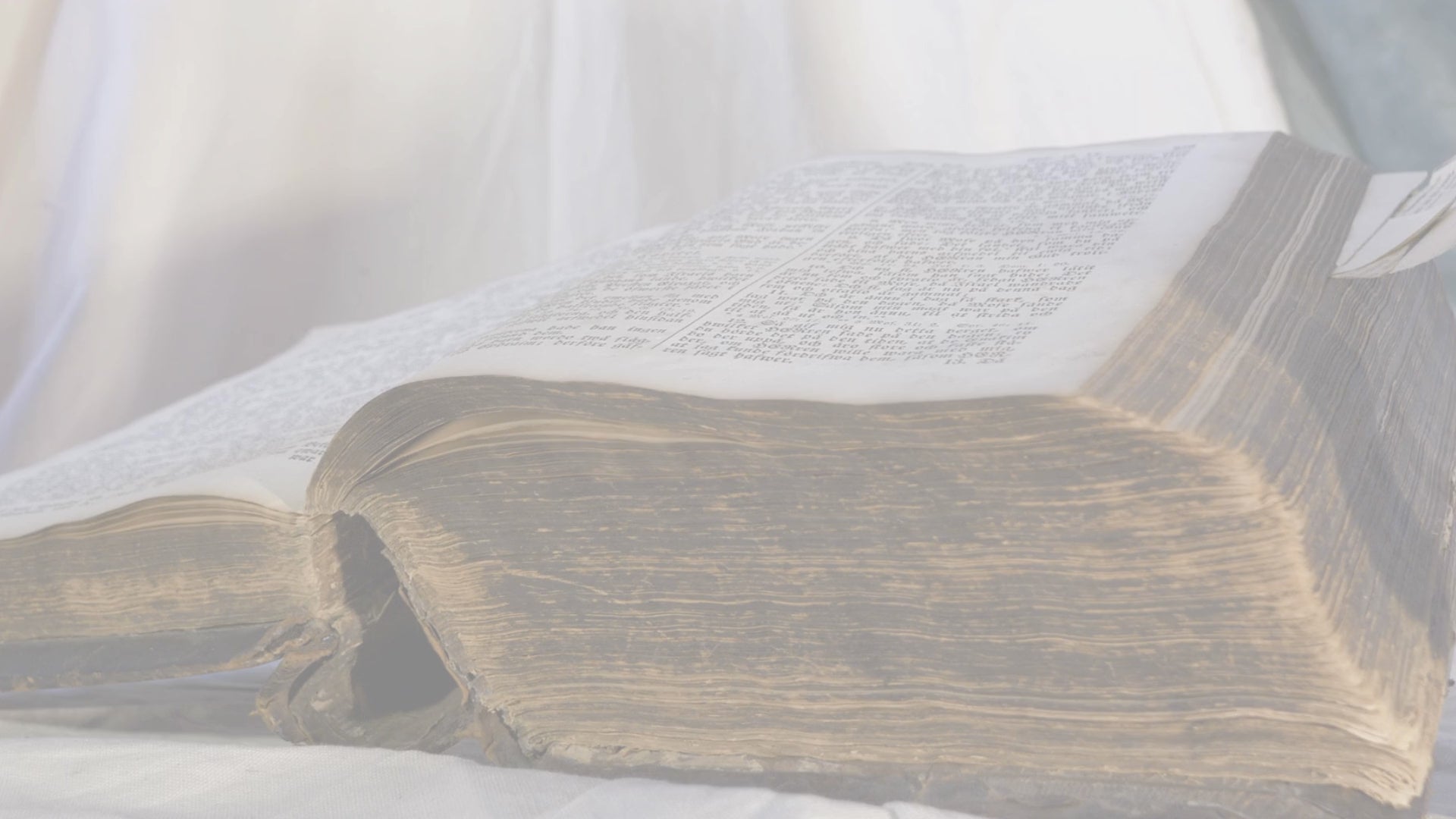 Load video: Wisdom Formula — Adaptogenic Herbal Blend for Balance &amp; Resilience