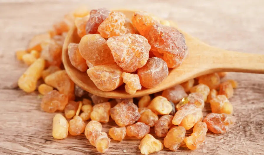 Frankincense resin and botanical branches