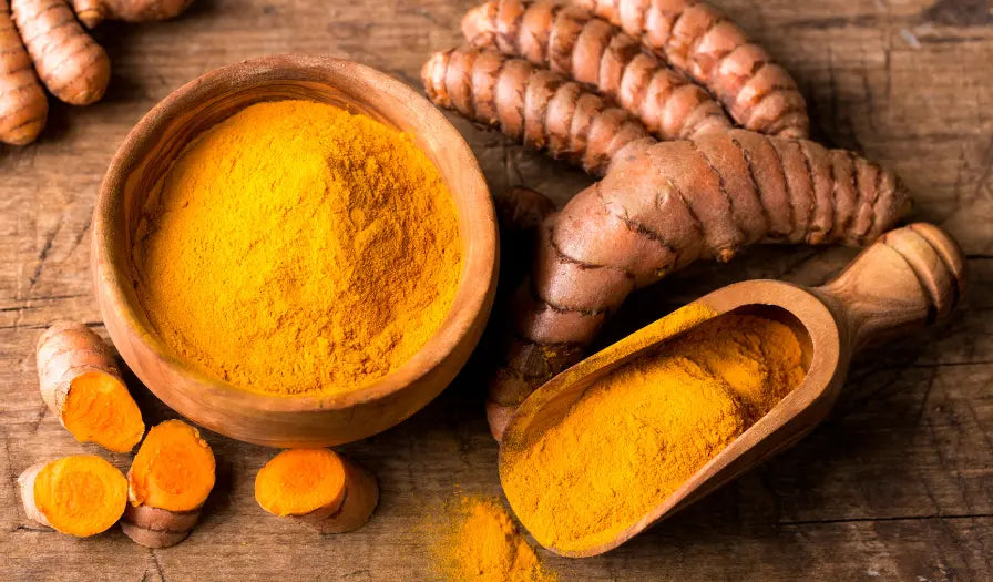 Fresh turmeric root and turmeric powder